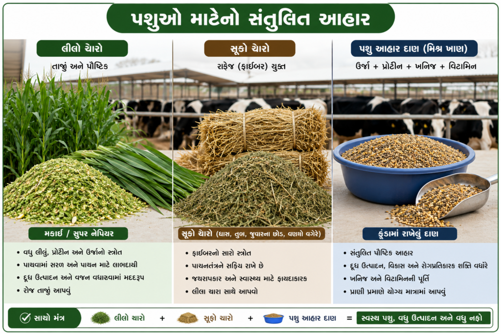 સંતુલિત પશુ આહાર
