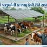 ચોમાસામાં પશુઓની કાળજી